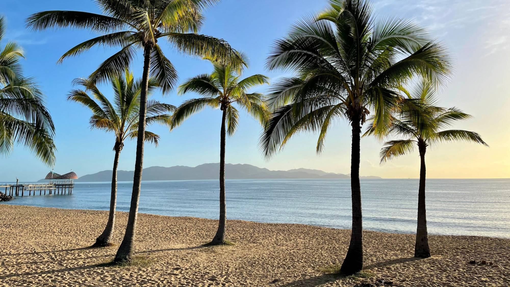 Palm trees on The Strand looking out to Magnetic Island
